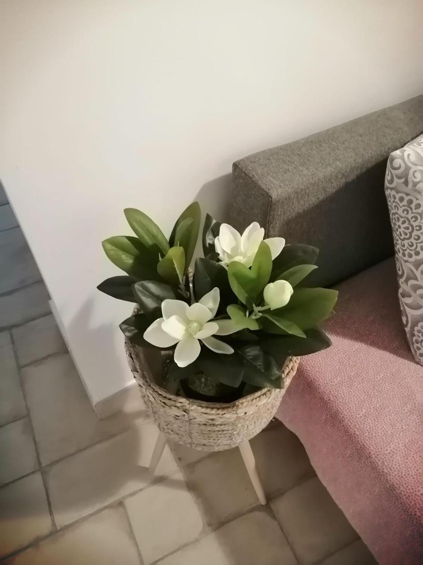 Il Vicoletto Sul Castello Apartamento Nápoles Exterior foto